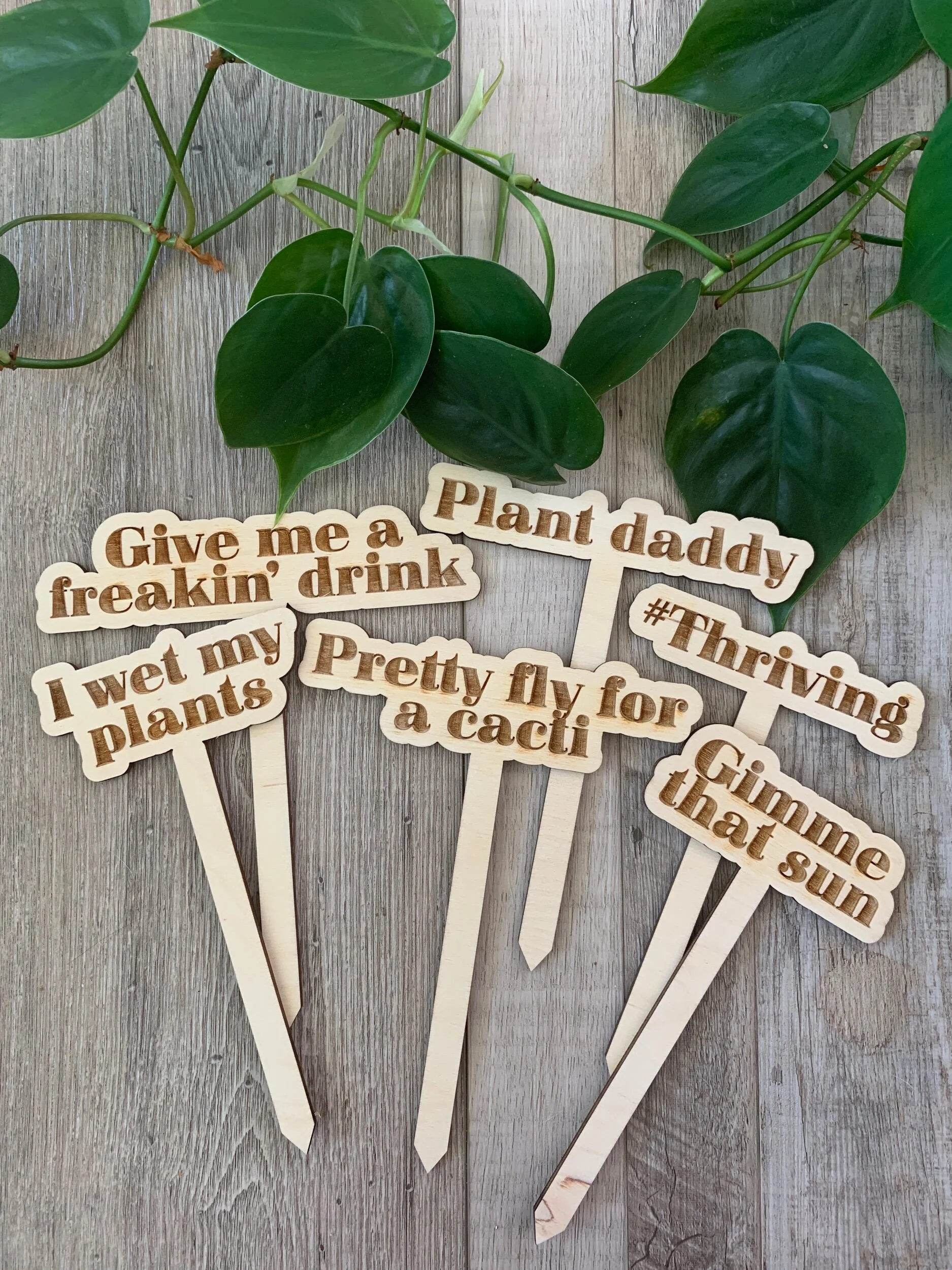 8D1B5139-C832-4543-BF60-3C8E224D7046