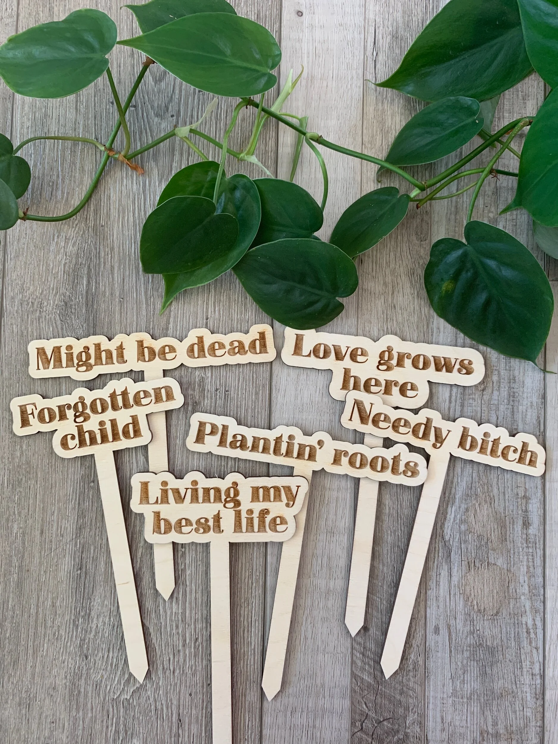 FC043F43-A7C0-4A9F-A077-F61D97AC0A37