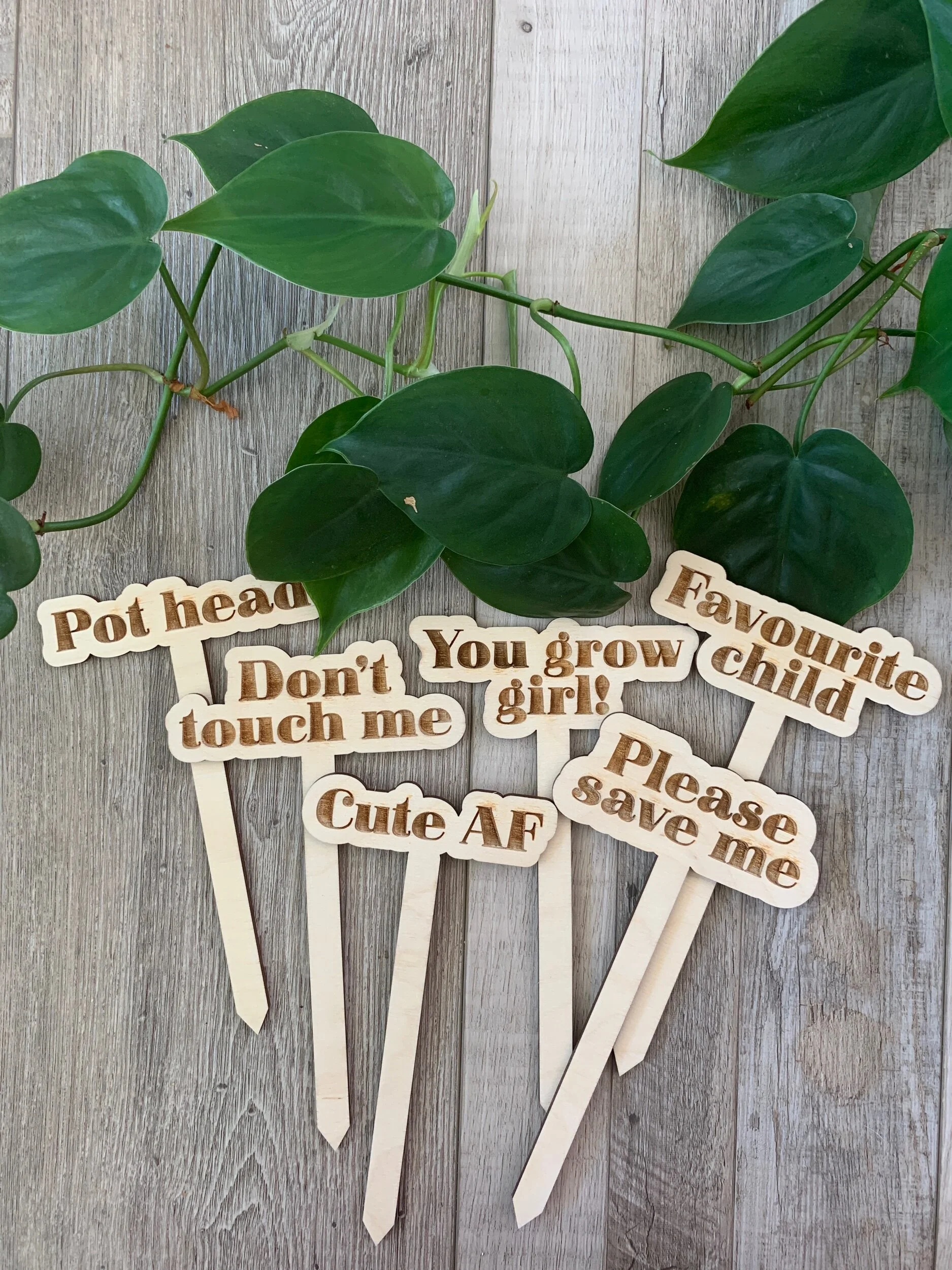 4487A942-2298-4A5F-94E4-1EC1CDD97688