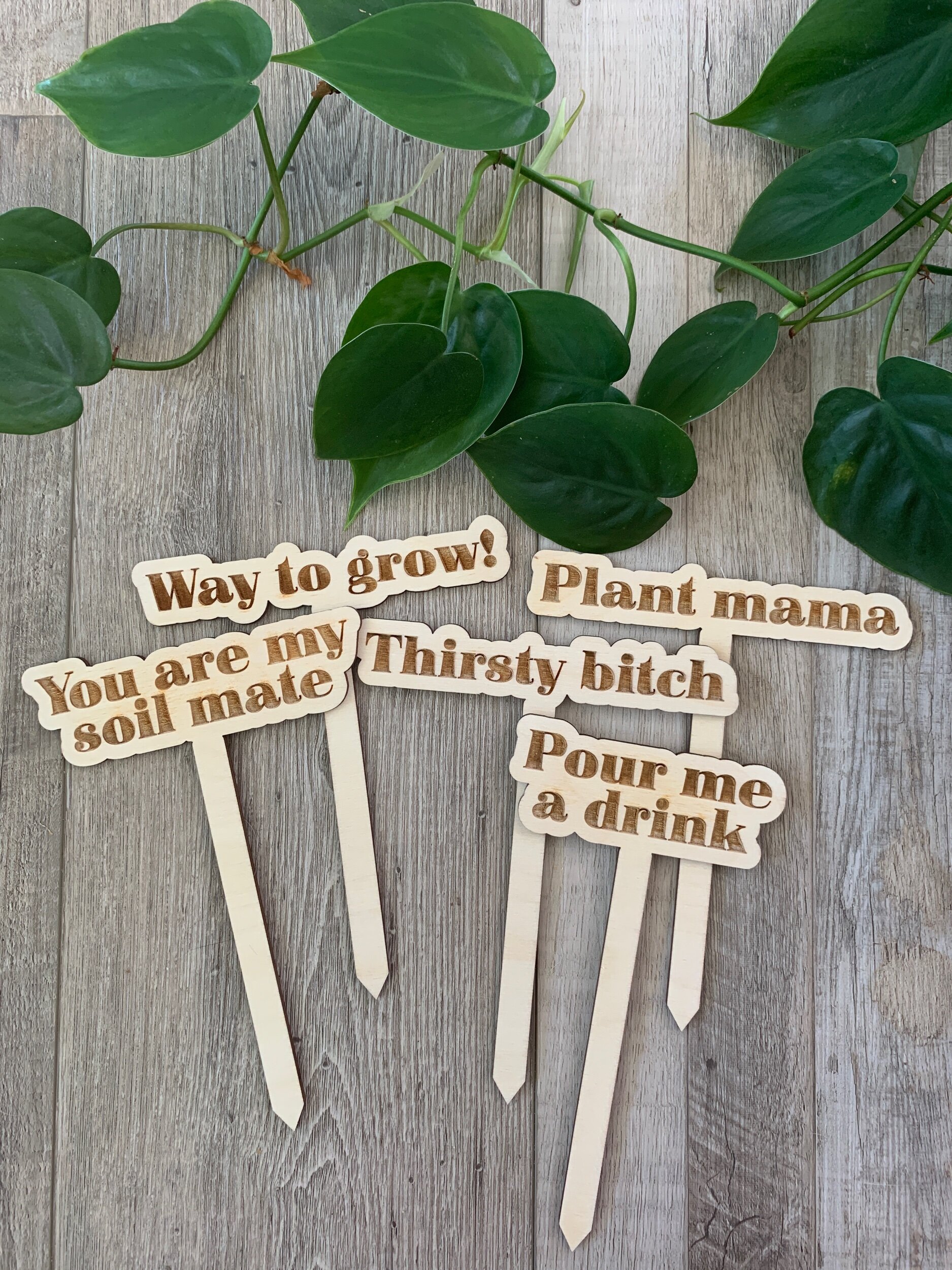 0AB063B5-37DA-4AC6-8CB0-D3A9A7833CB0