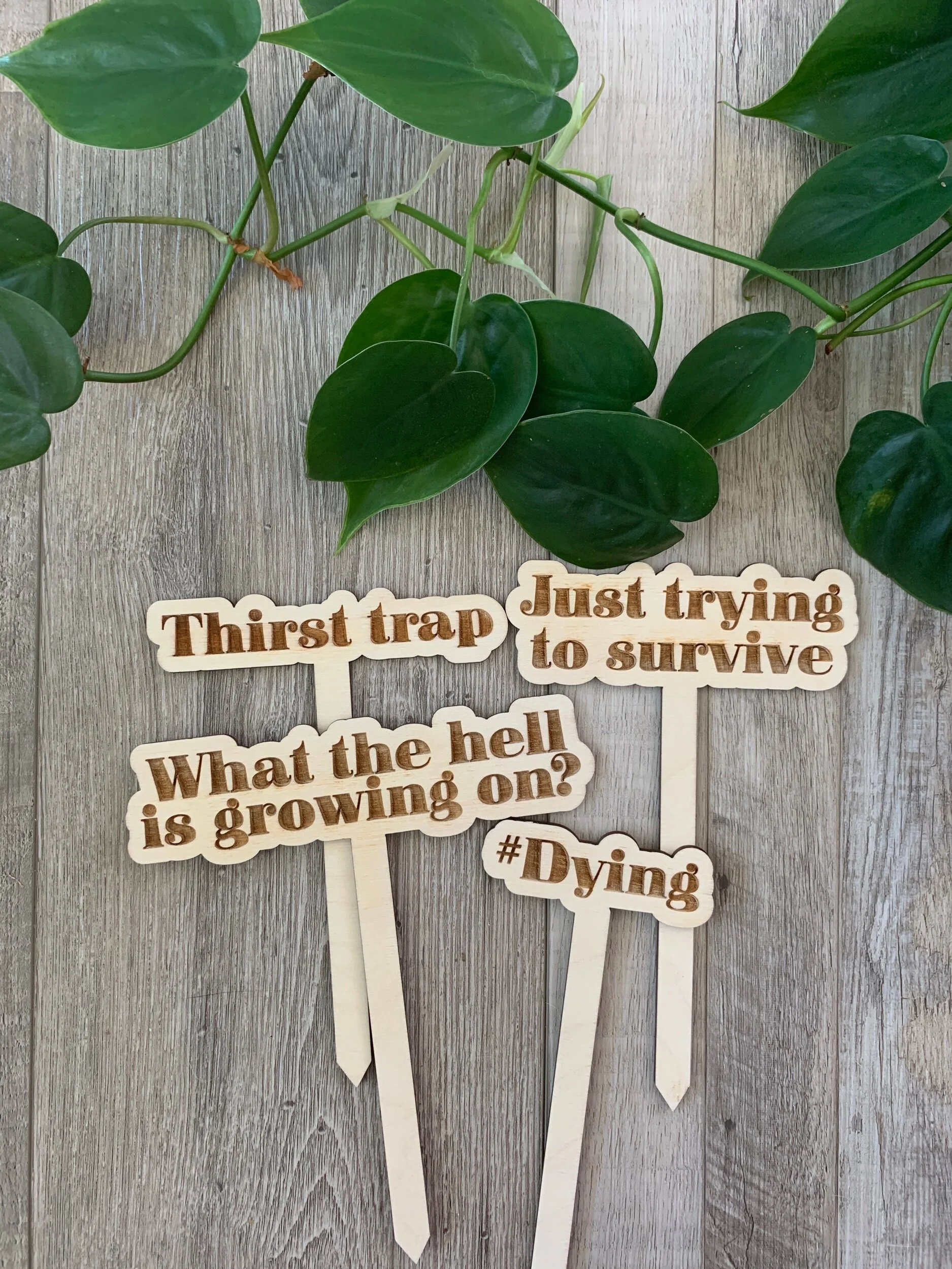 2080767F-06FD-4FE6-A415-83D58D5BEAB9