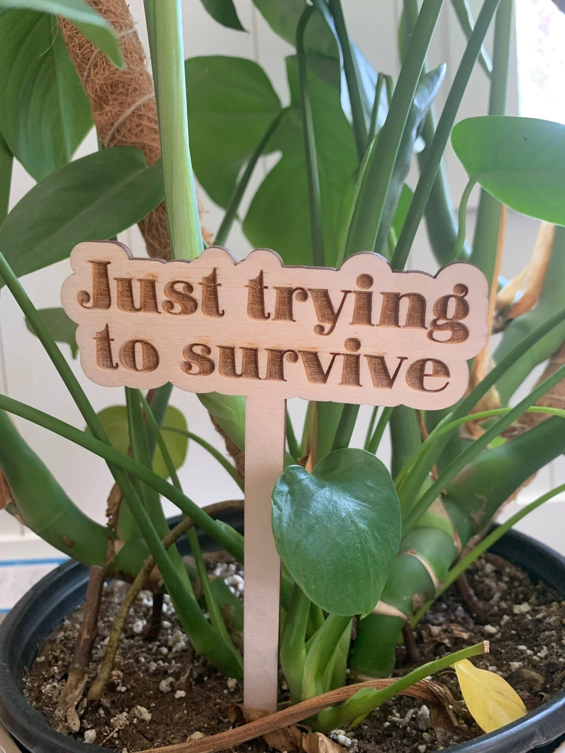 ACE0720E-A023-4998-841B-6F56C2A94A1B