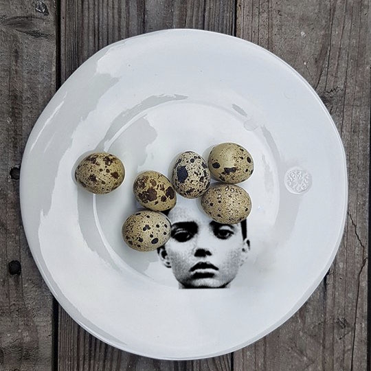 OEUF-sophie-masson.jpg