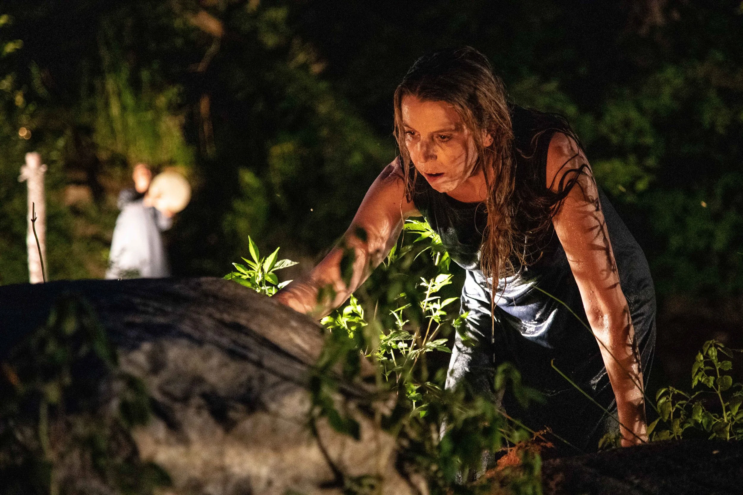 the-hidden-territories-of-the-bacchae_52372053331_o sm.jpg