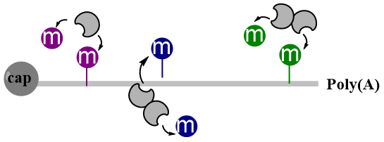Picture8.png