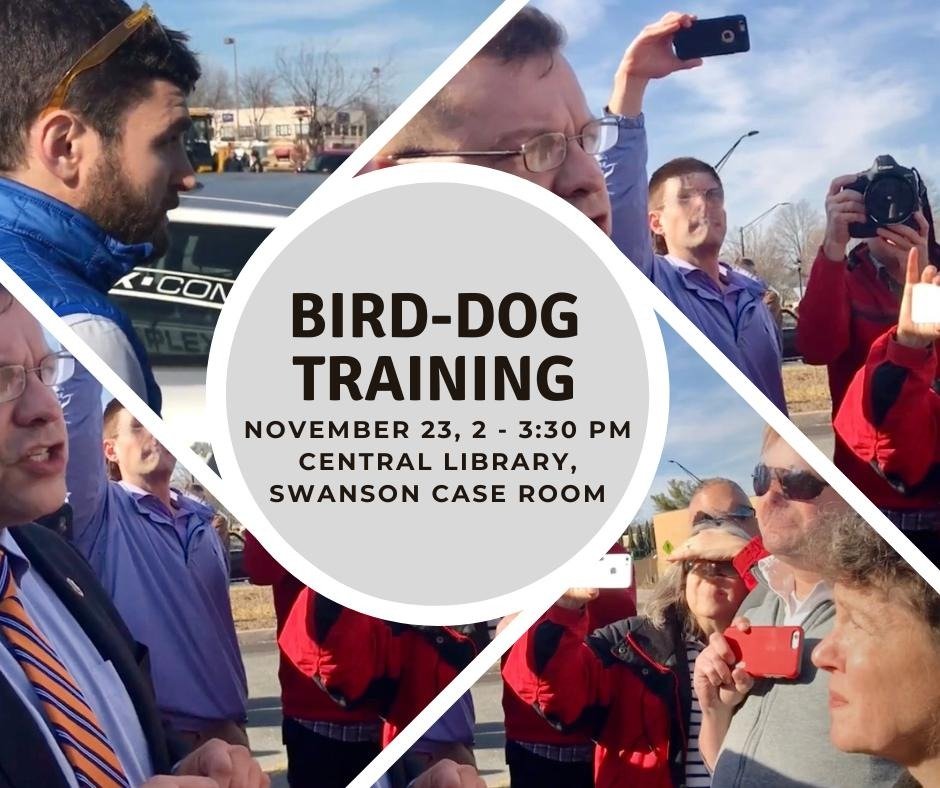 Bird-Dog Training