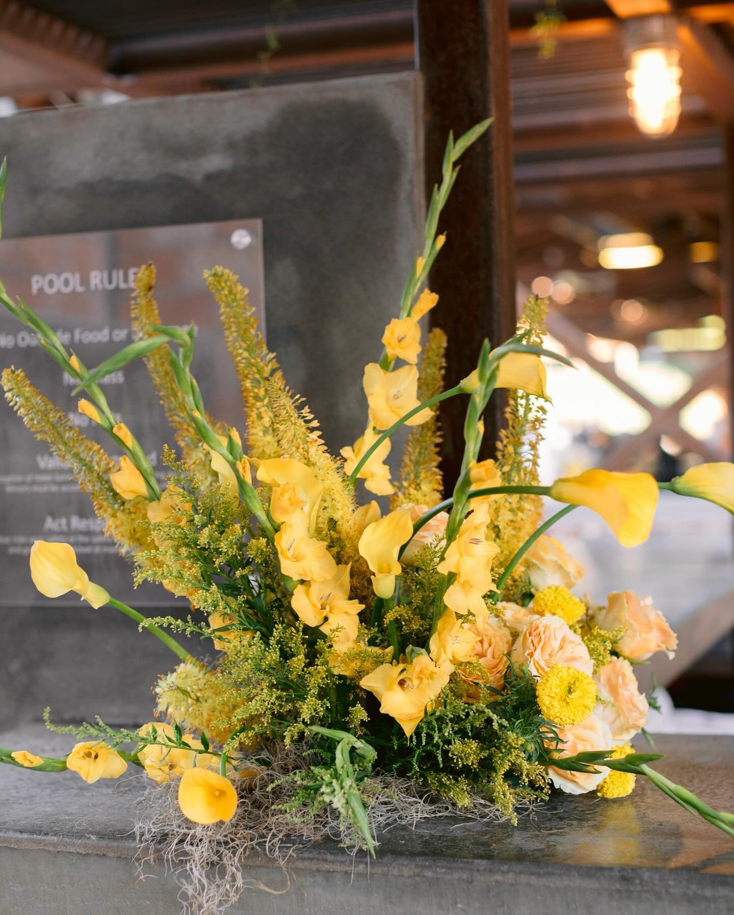 Dinner + Drinks poolside 😎

Planning + Design @openroadevents 
Photography @jonachristinaphoto @jonachristinadavis 
Floral design @openroadflorals 
Reception dinner venue @poolmarfa 
Paper goods @papersource_atx 
Catering @marfasaintgeorge 
Bridal h