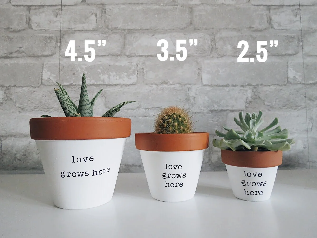 Favours.jpg