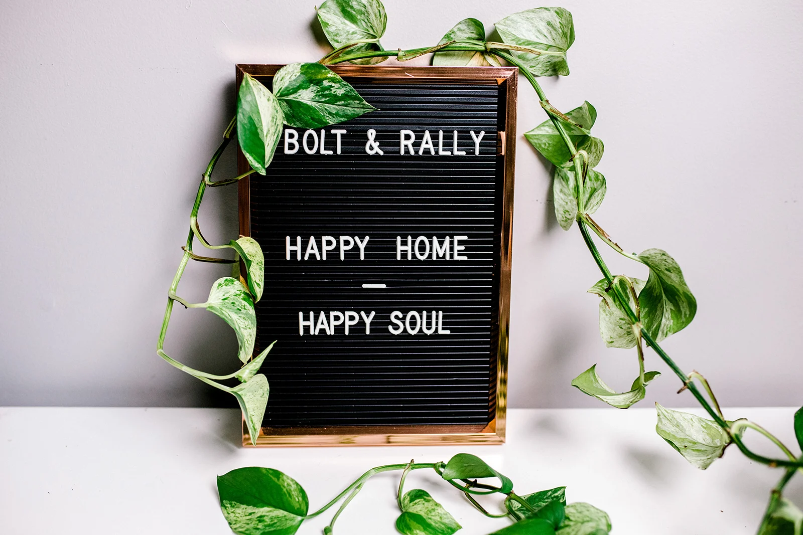 BoltxRally-62.jpg
