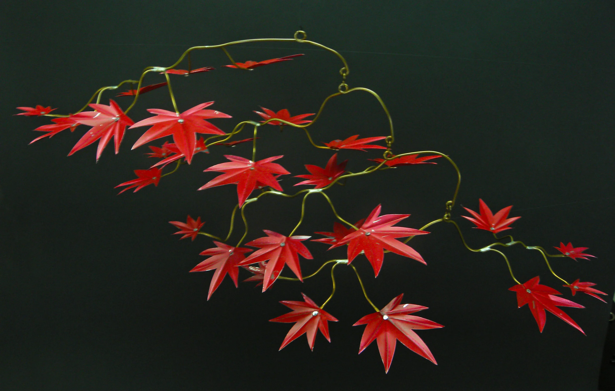 japanese_maple.jpg