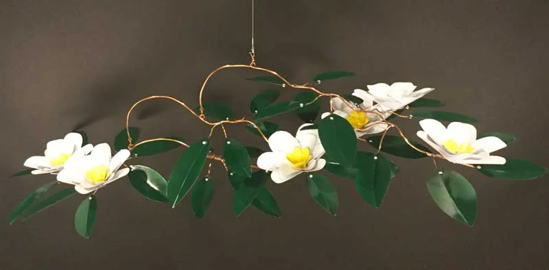 Magnolia.jpg