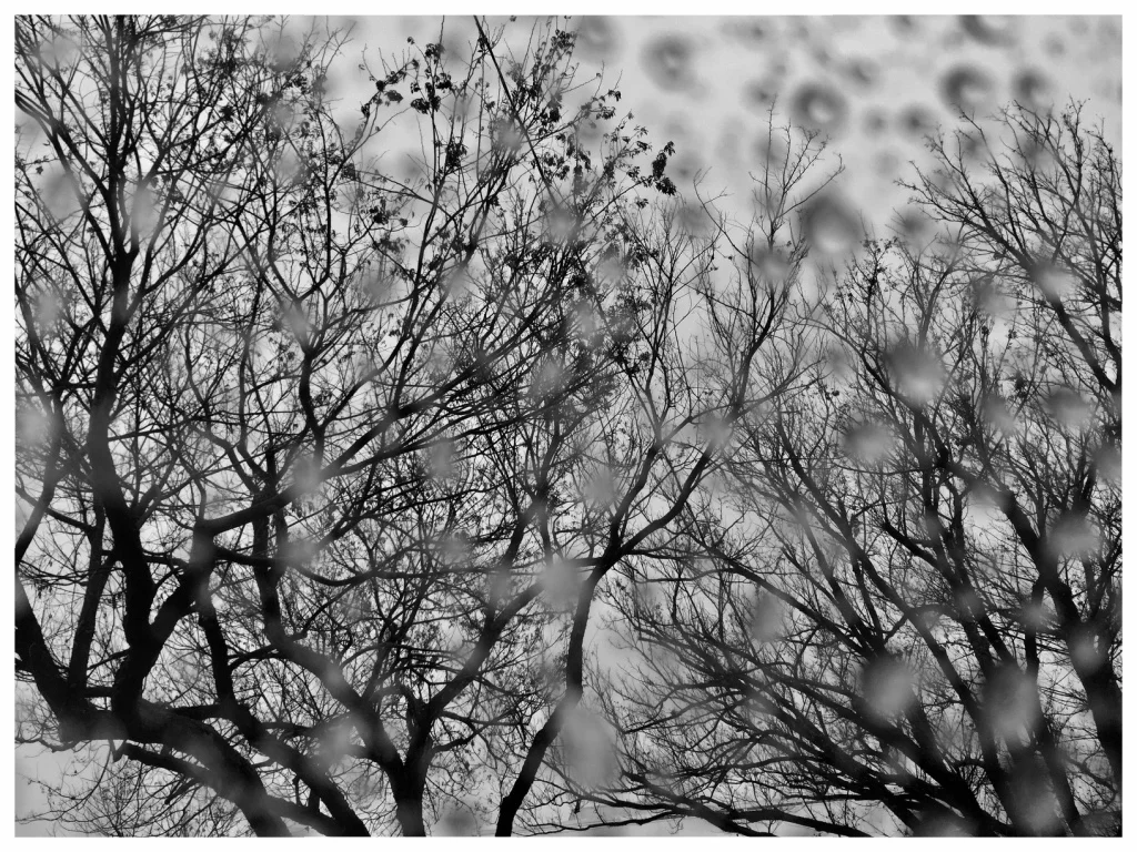 Winter rain.