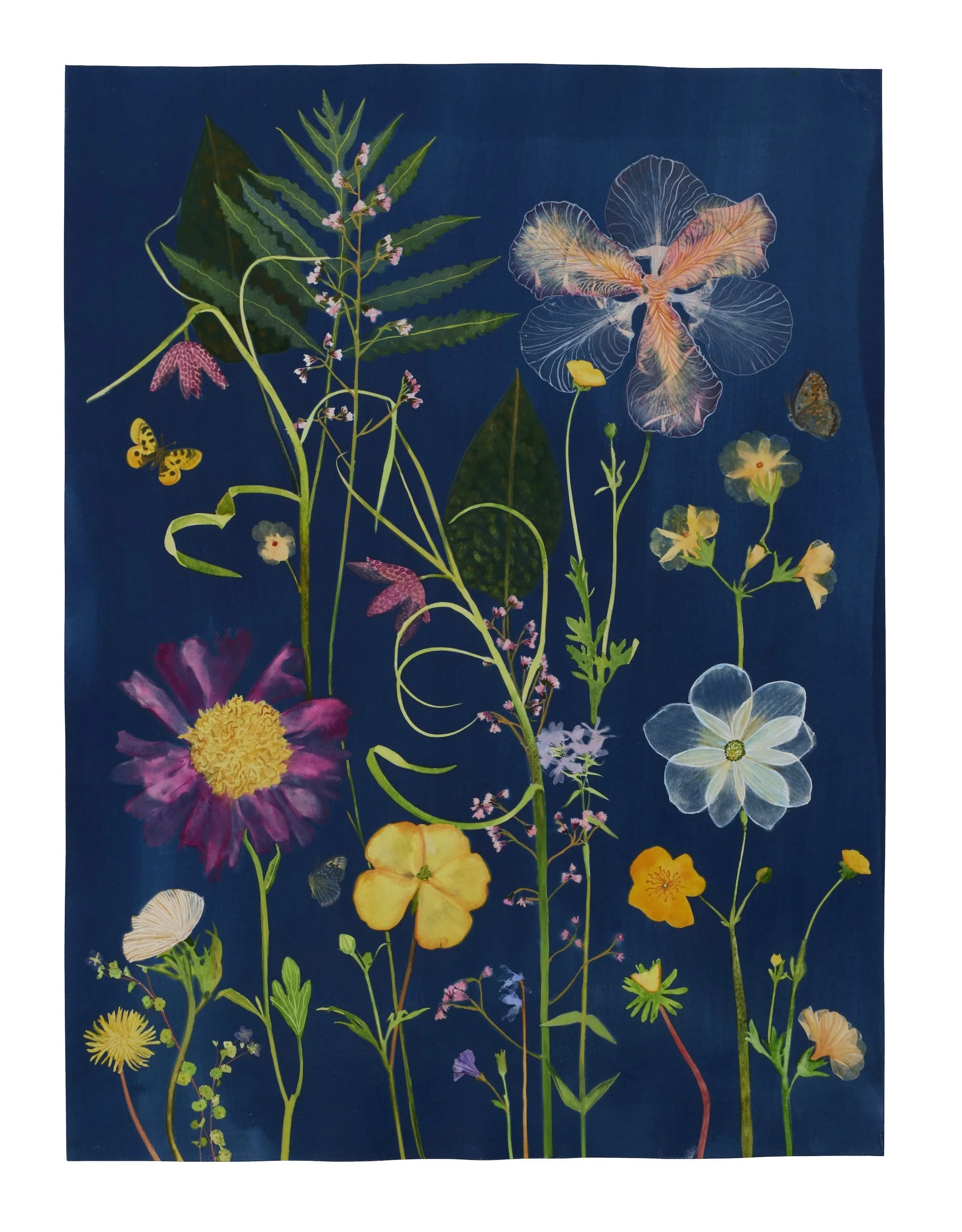 Julia Whitney Barnes