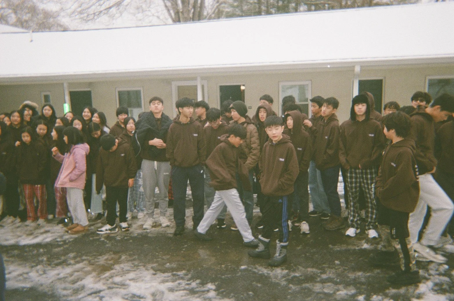 Fuji Disposable 3-5.jpg
