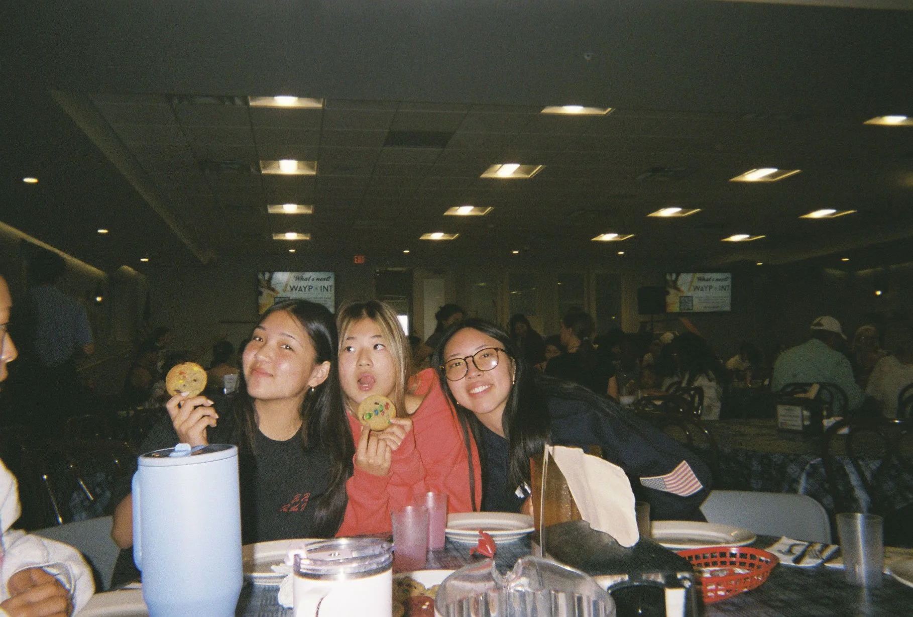 Fuji Disposable 3-11.jpg