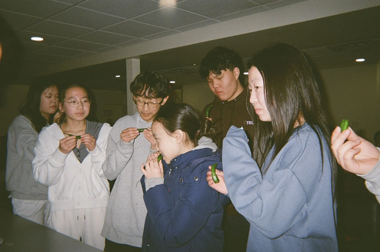 Fuji Disposable 4-1.jpg