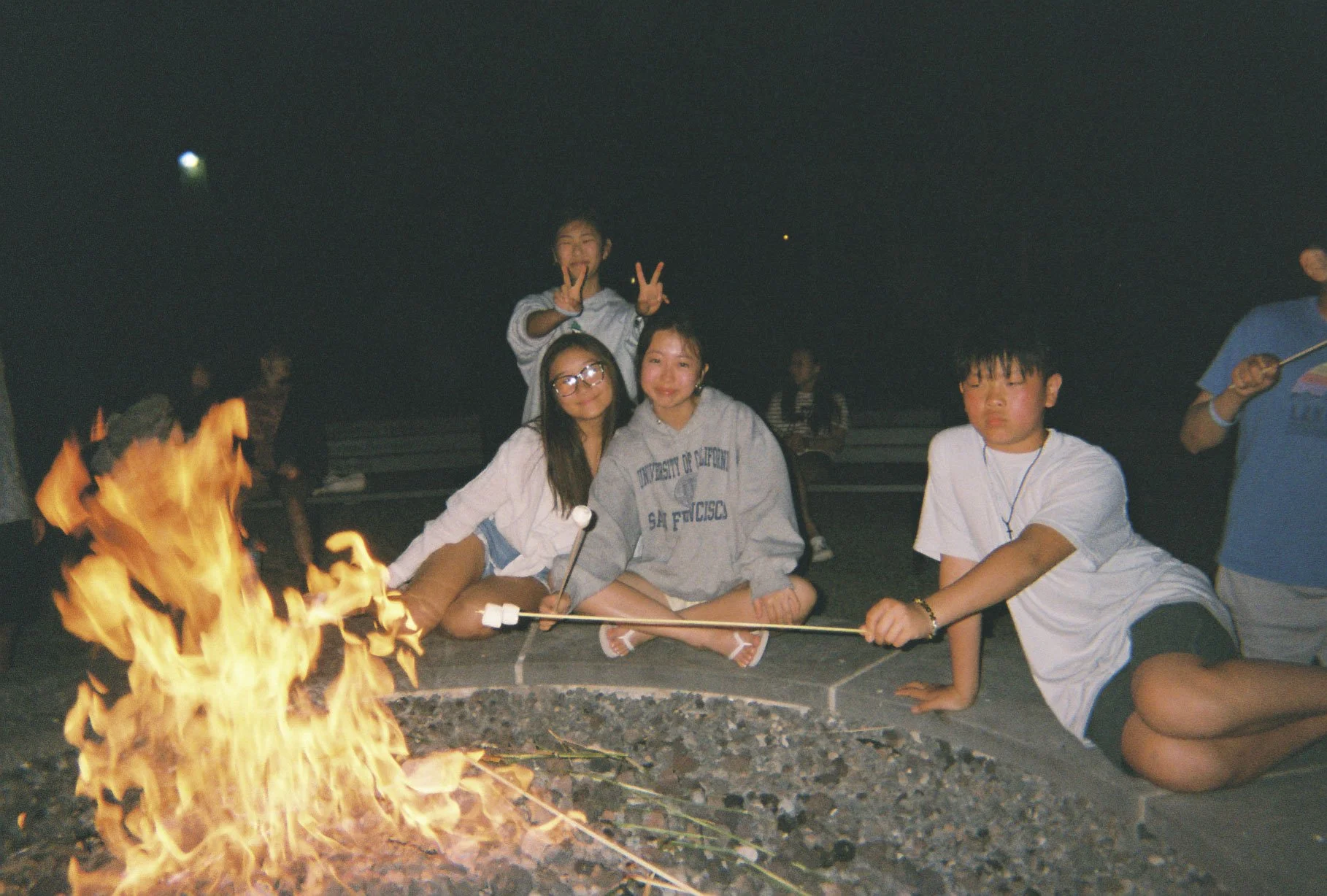 Fuji Disposable 4-11.jpg