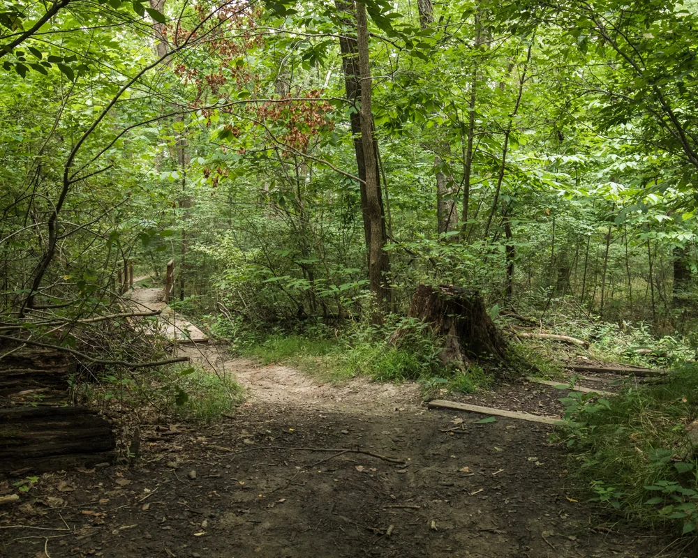 Canon M5