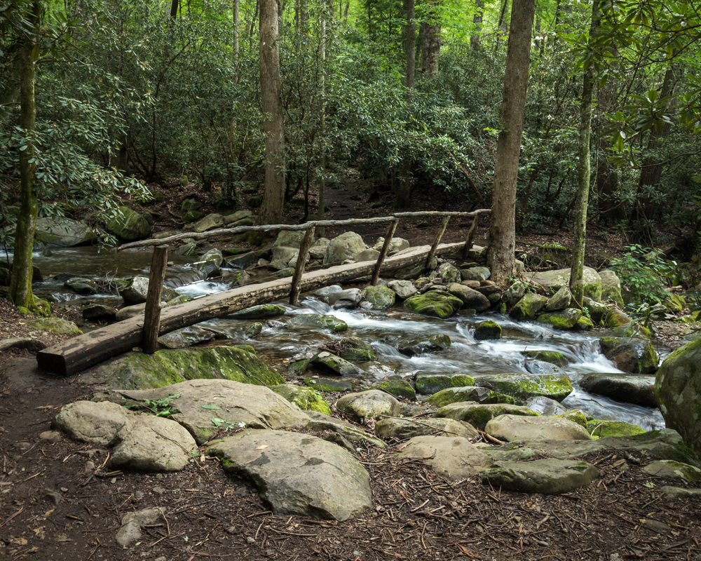 Canon M5