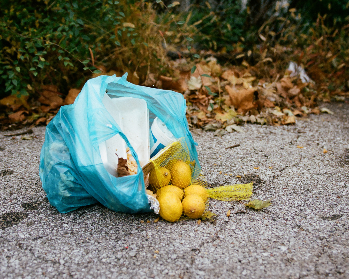 Kodak Portra 400