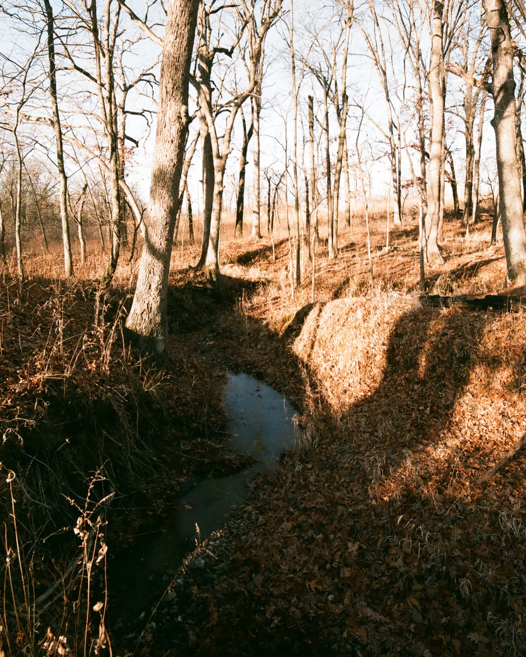 Agfa Vista plus 200