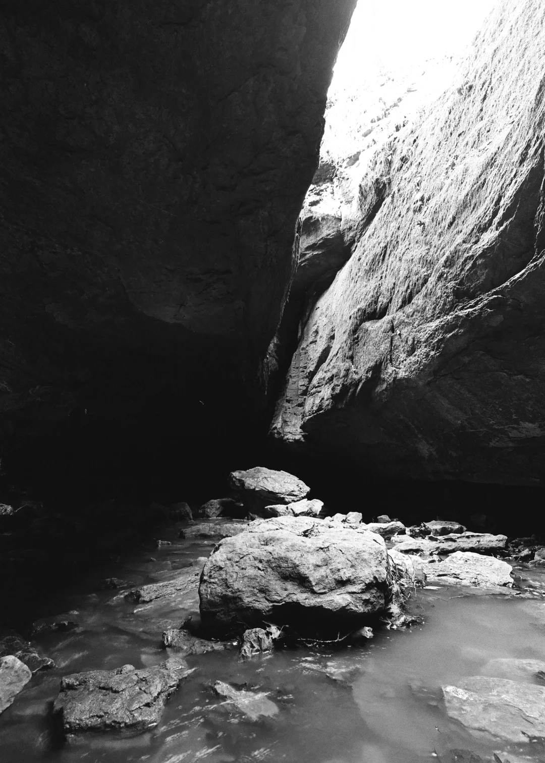 Kodak t-max 400