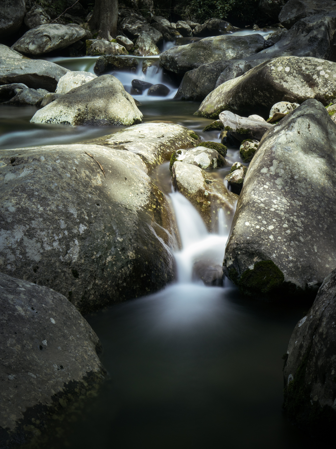 Canon M5