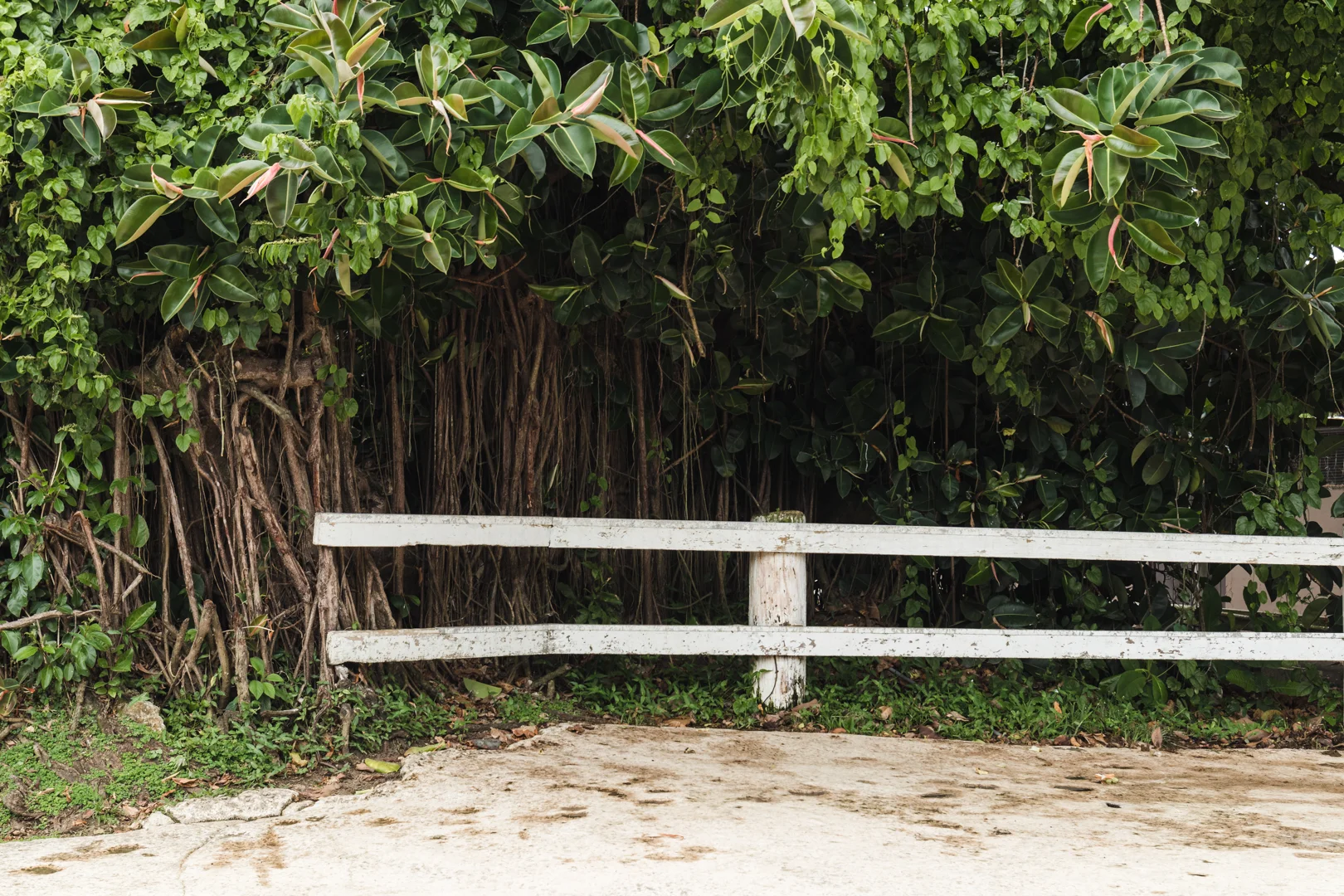 Around the Island-1.jpg