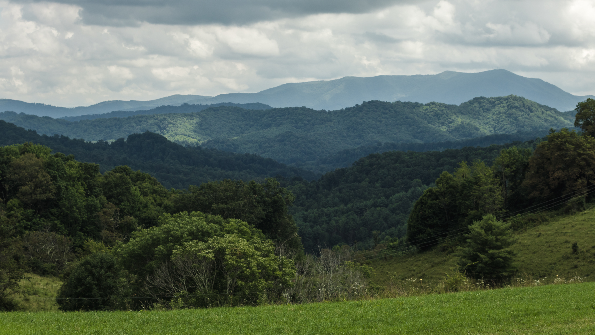 2018-8-25 Virginia Woods Blog-2.jpg