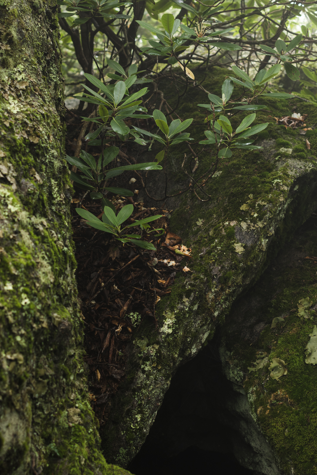 2018-8-31 Grayson Highland Blog-4.jpg