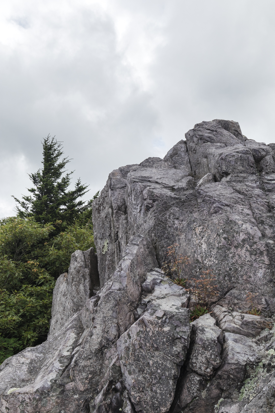 2018-8-31 Grayson Highland Blog-13.jpg