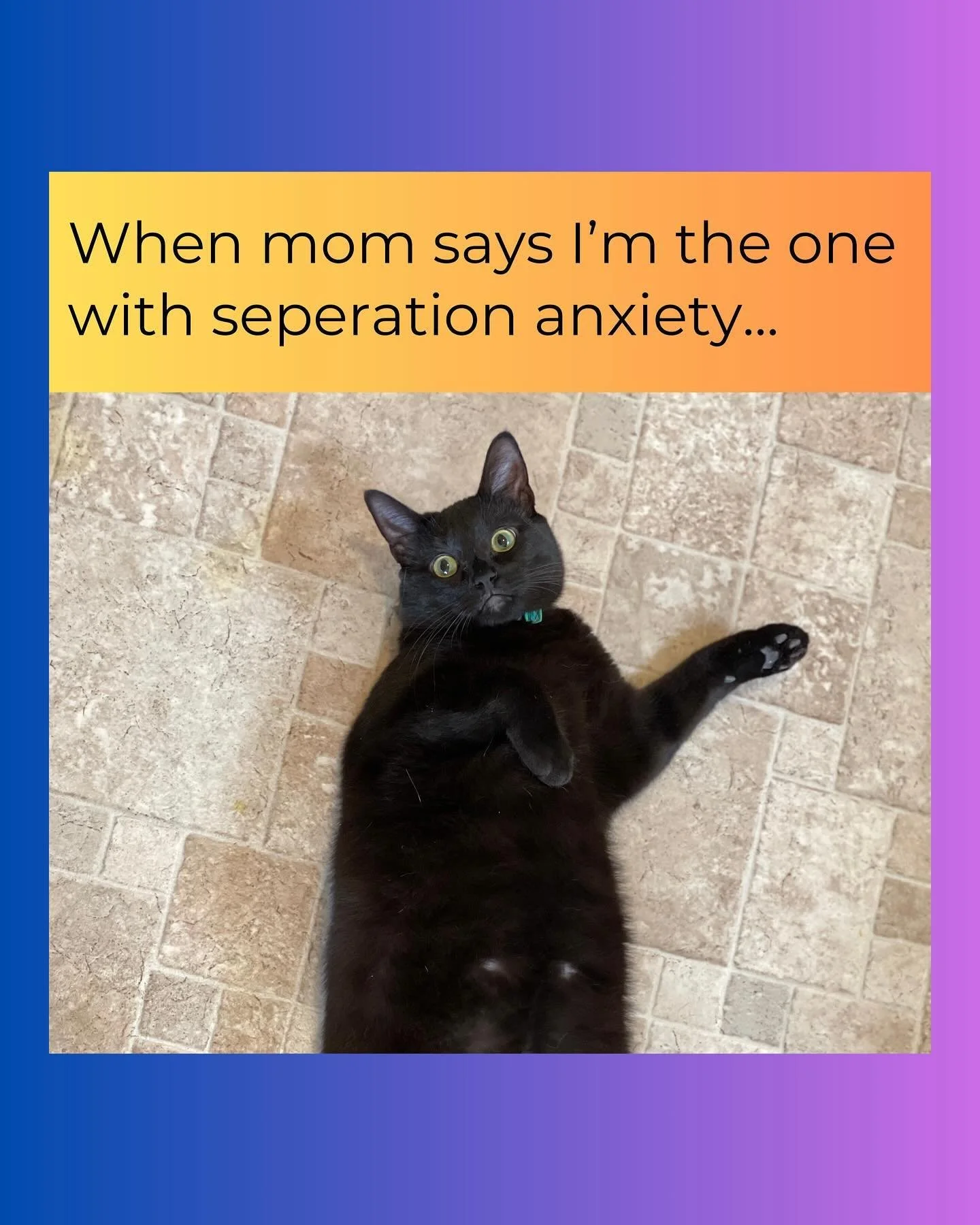 🌟 Cooking Up Some New Magic 🌟
I’ve been working on consolidating all the exciting projects I’m juggling—everything from getting my film Alone Girlmade to launching my Meowment (yes, you read that right! 😸) to redefine what it me