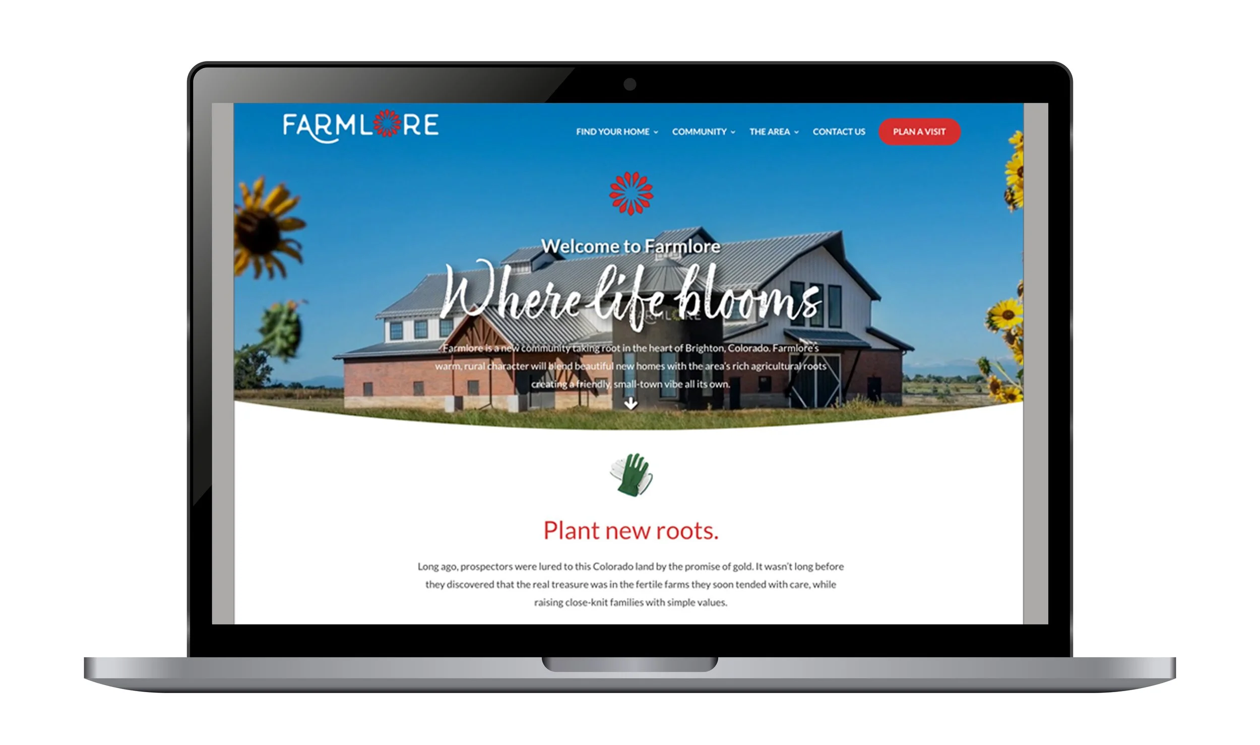laptop_realistic farmore site.jpg