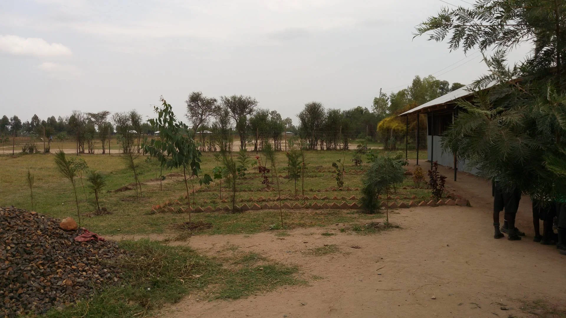 Trees and garden planted by the children in Kenya