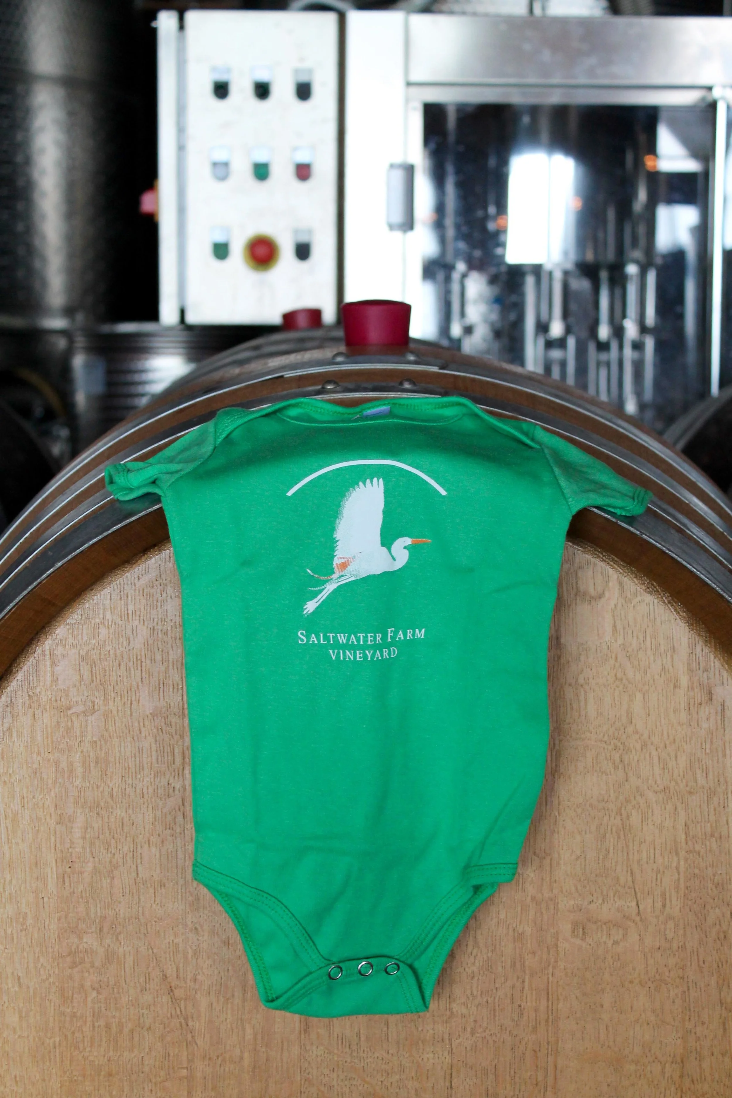 onesie2.jpg