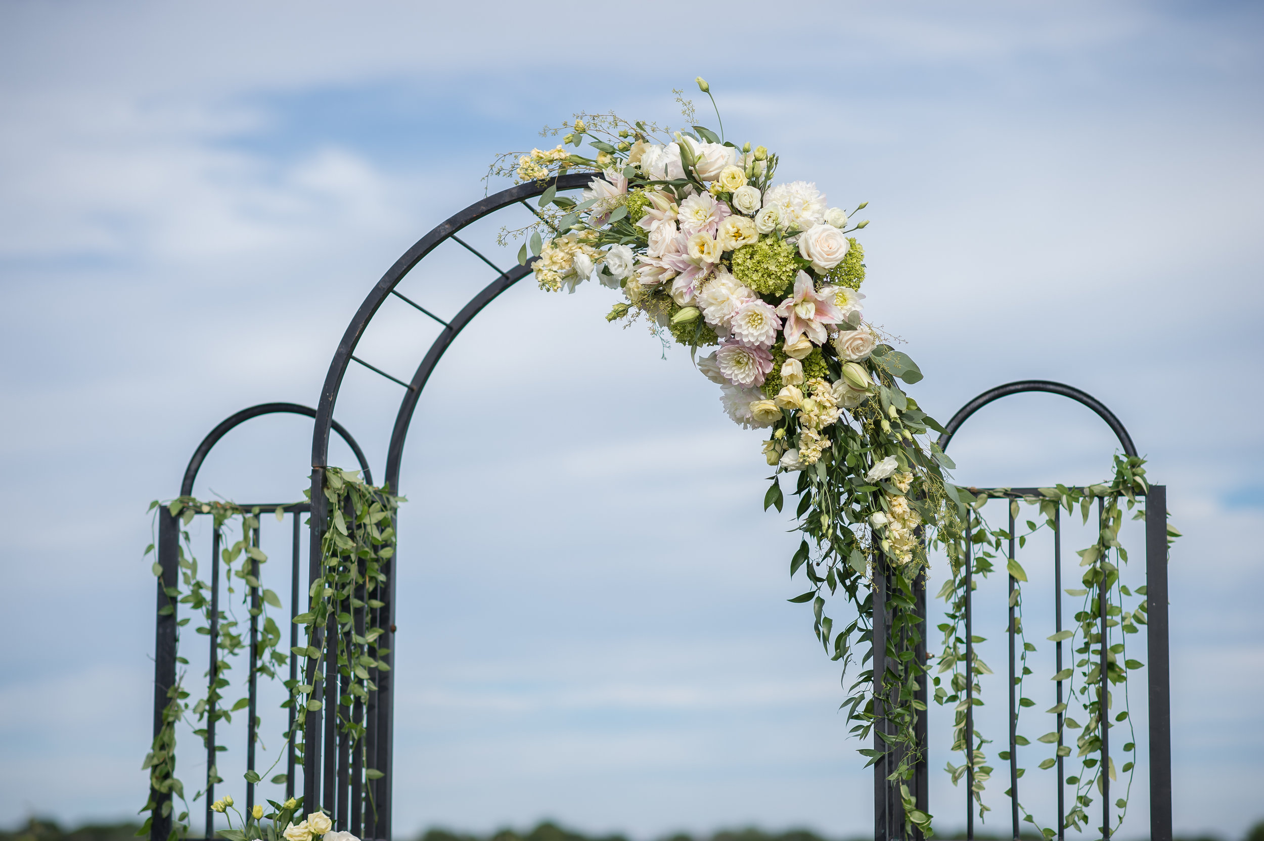 Maria & Eric, November 10, 2018
