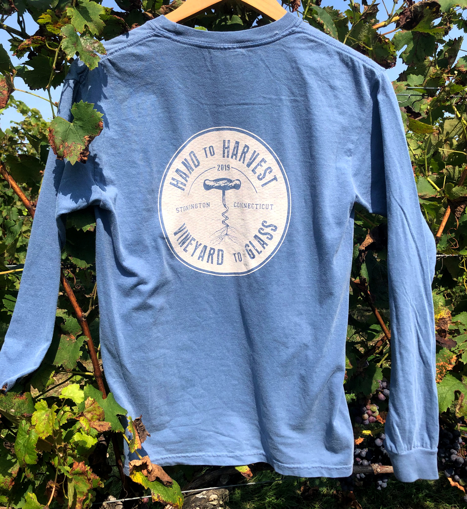 harvest_2019_blue_1.jpg