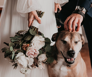 love, SUnday Photography: SALTWATER FARM VINEYARD PREFERRED VENDOR