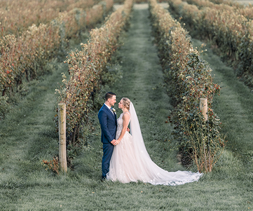 Alicia Ann Photographers