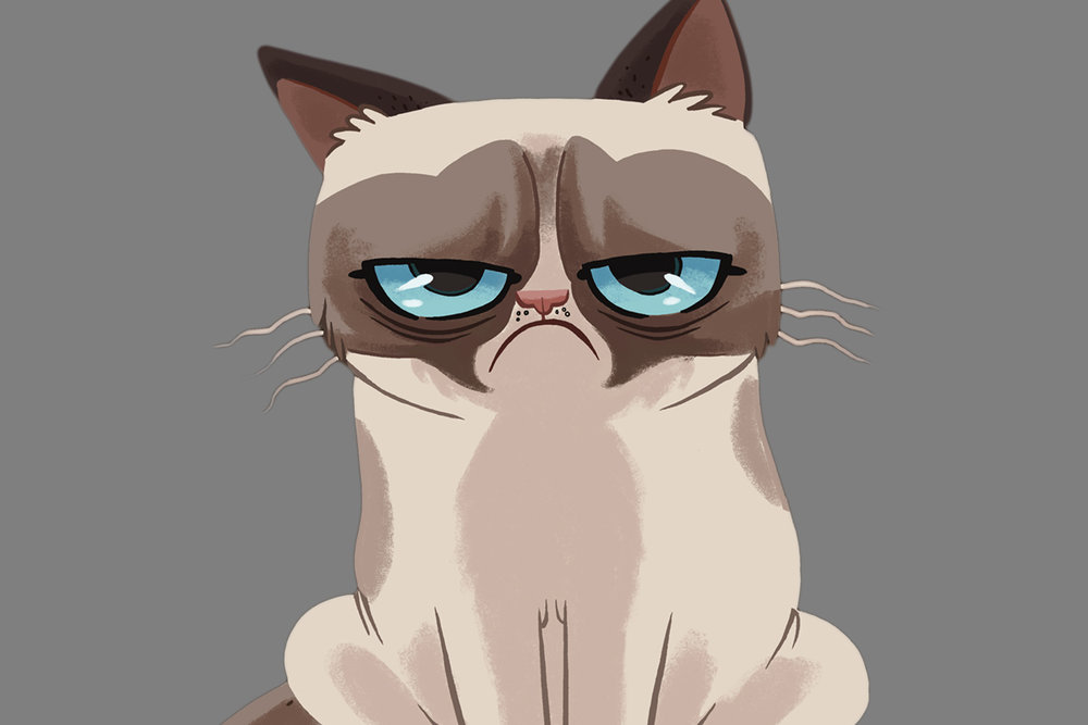 Angry Cat Meme