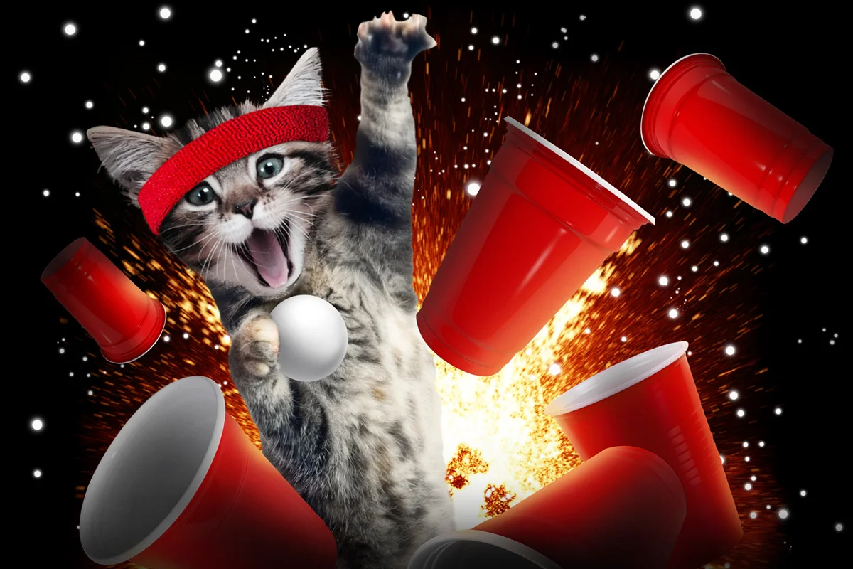 Who Are the Coolest Cats in Pop Culture?