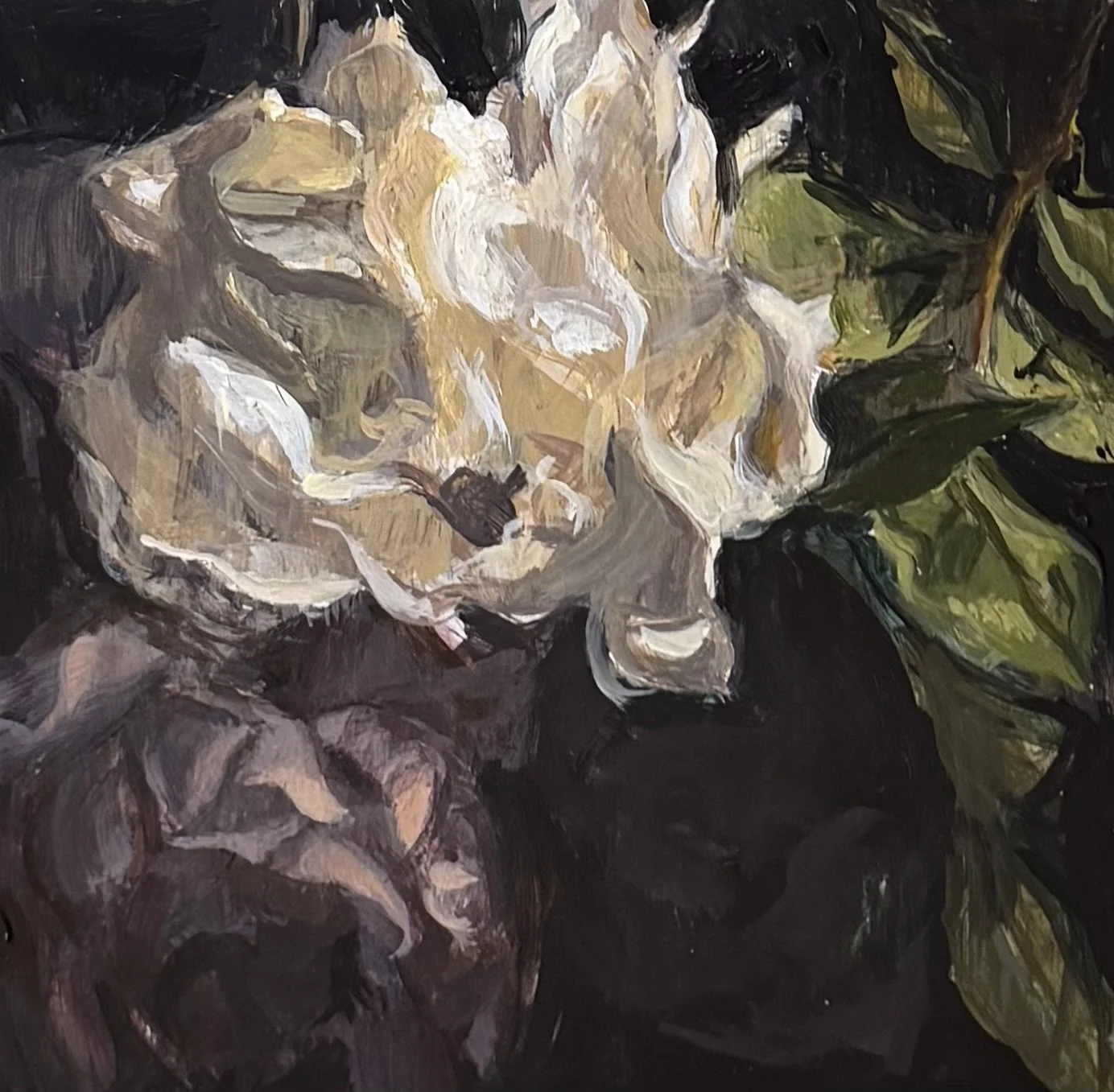 FLORAL DRIFT.jpeg
