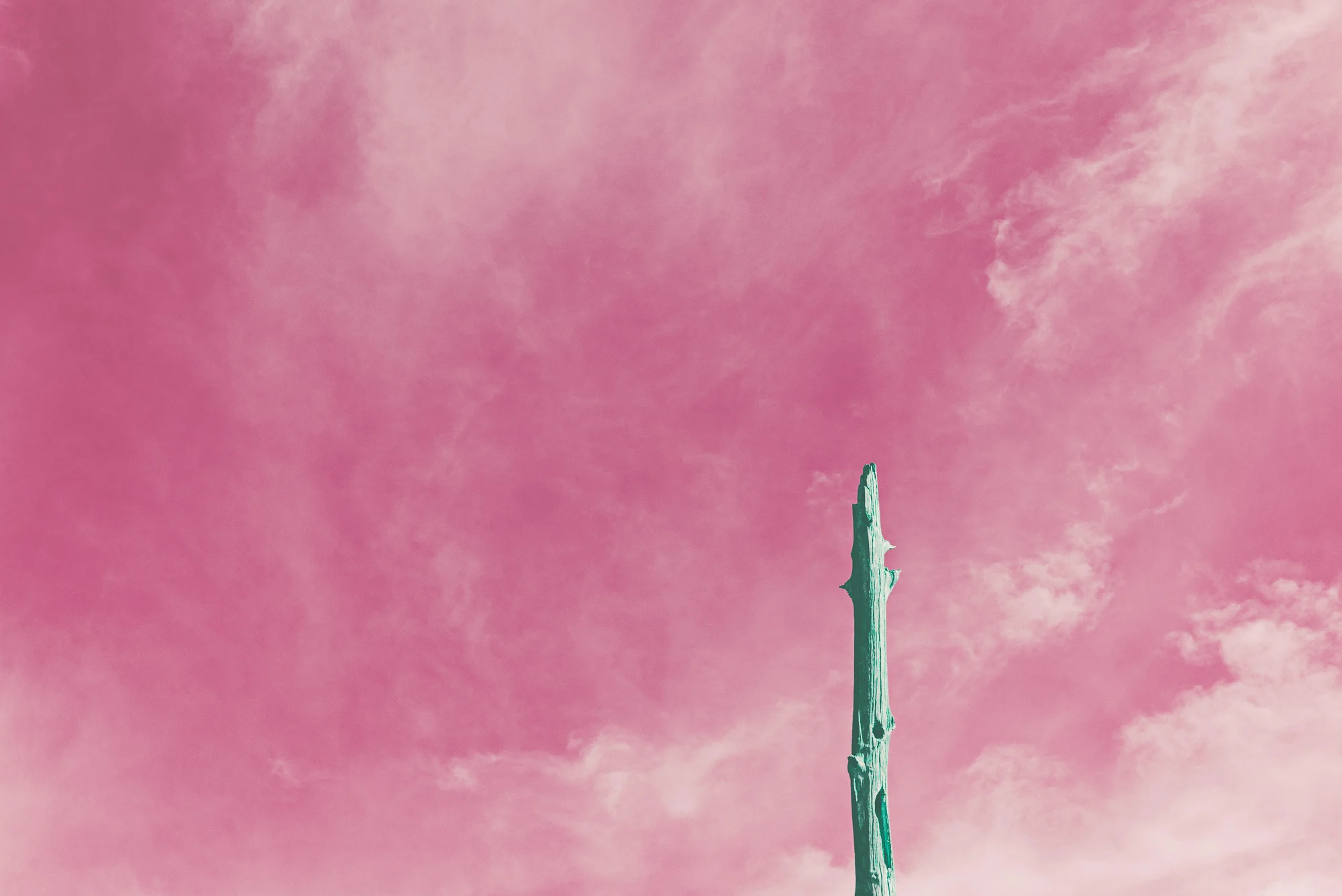 BCMS_P_FA_S-4.jpg