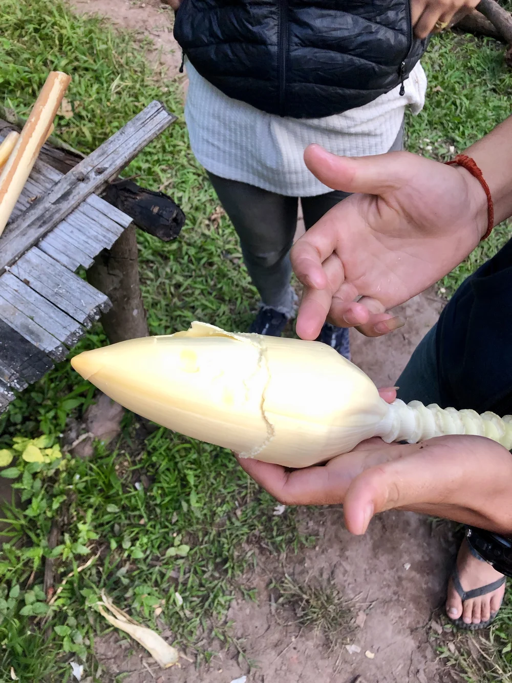 Fleur de bananier pour la soupe