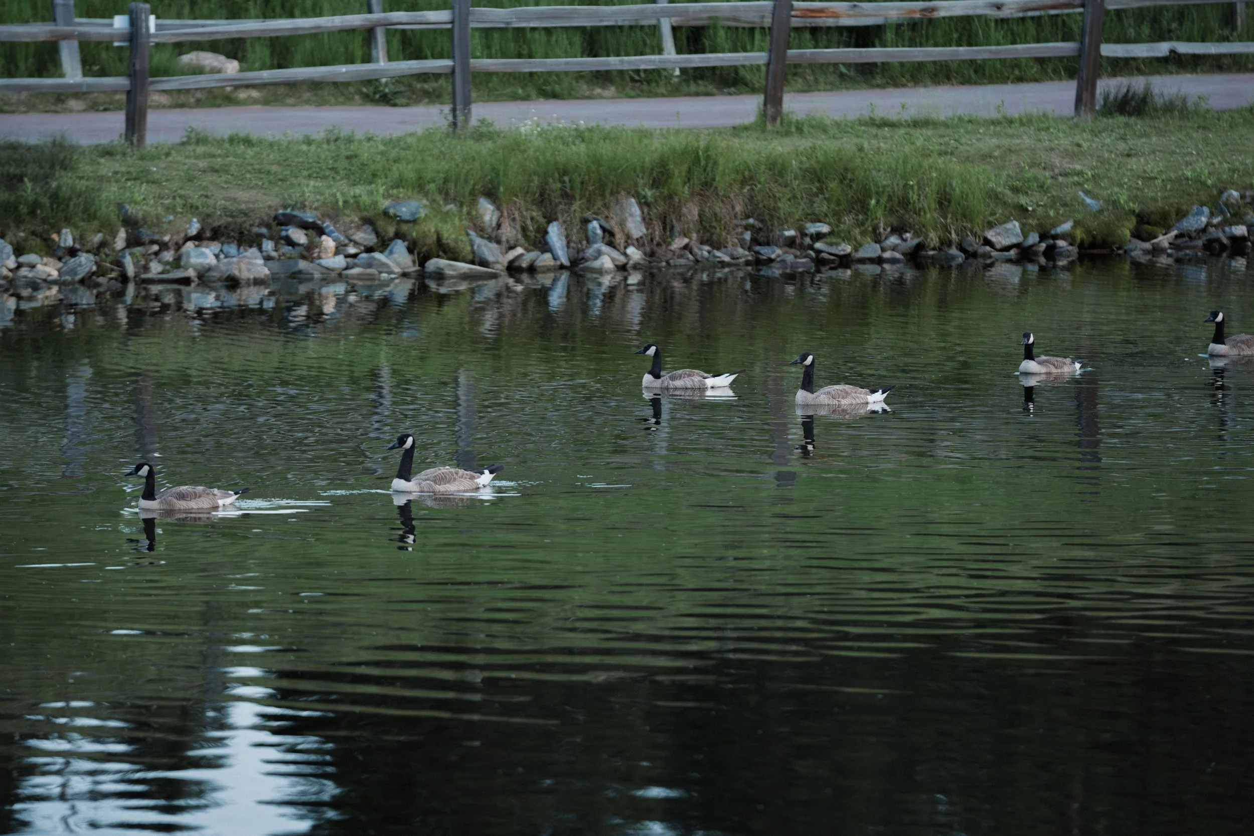 2025-06-21 - Evergreen - Outside-18.jpg