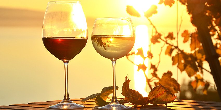 Candara Fall Happy Hour