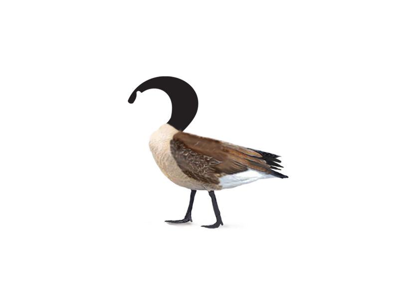 2FEAT-MOMGOOSE.png