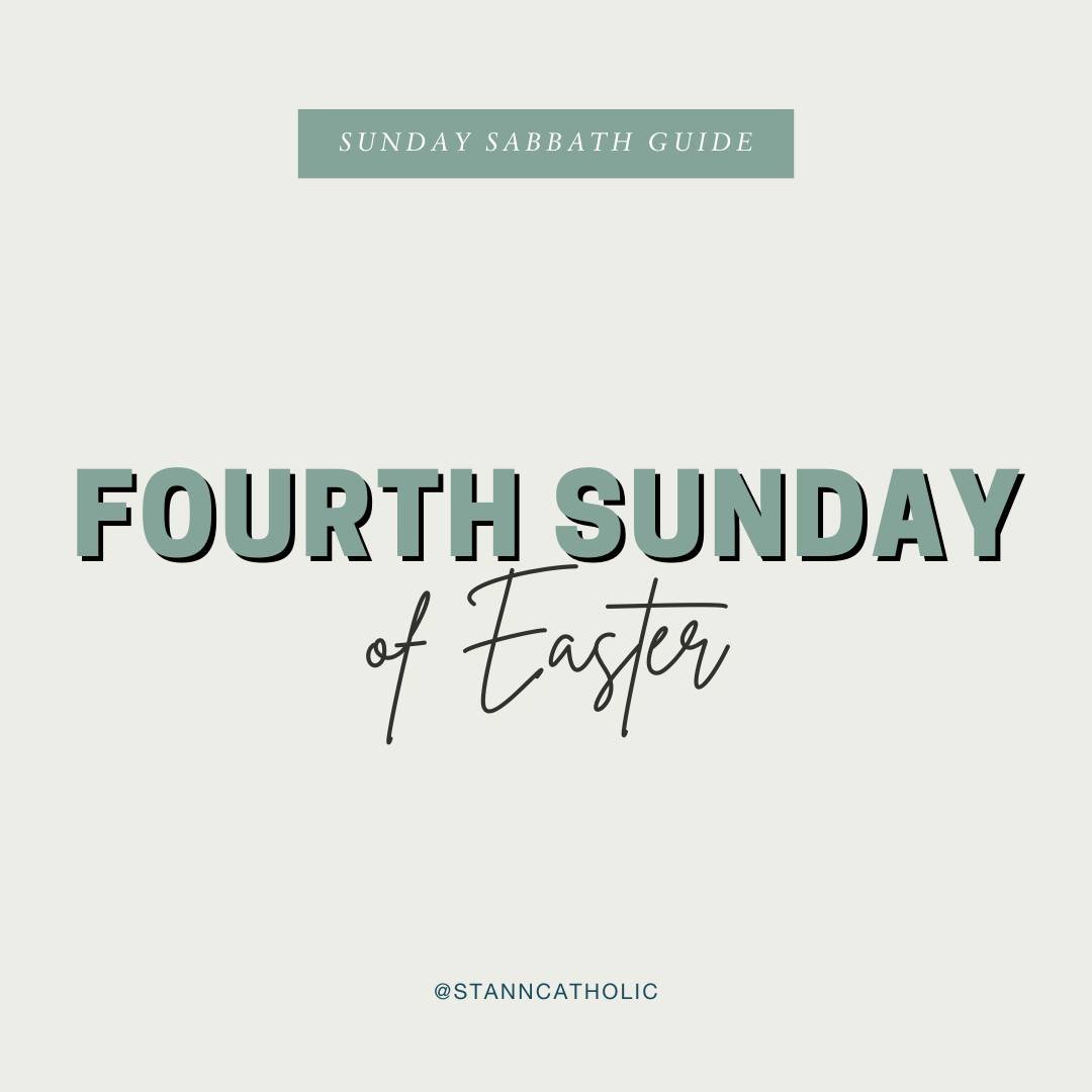 Fourth Sunday of Easter | Sunday Sabbath Guide ✝ 
Use this to prepare for Mass, reflect on the way home, or in prayer later in the week! Use the questions at breakfast, in the car ride, or with your community group! Pro Tip: Save for later!