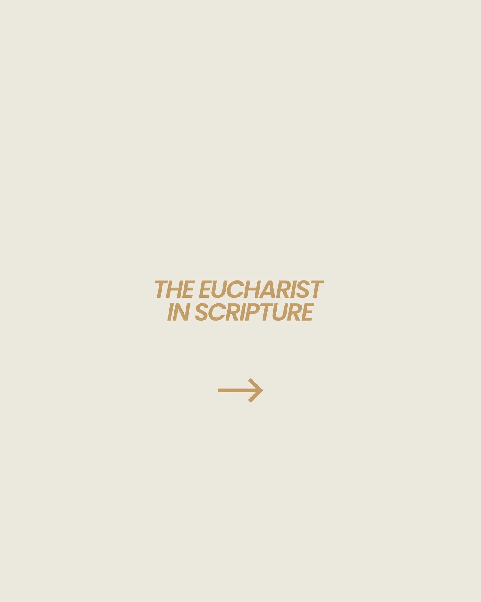 Curious about what the Bible says about the Eucharist? 📖💭 
Maybe you&rsquo;ve heard the words at Mass: &ldquo;This is my Body... This is my Blood.&rdquo; But have you ever wondered where that comes from in Scripture? Jesus Himself spoke about it, a