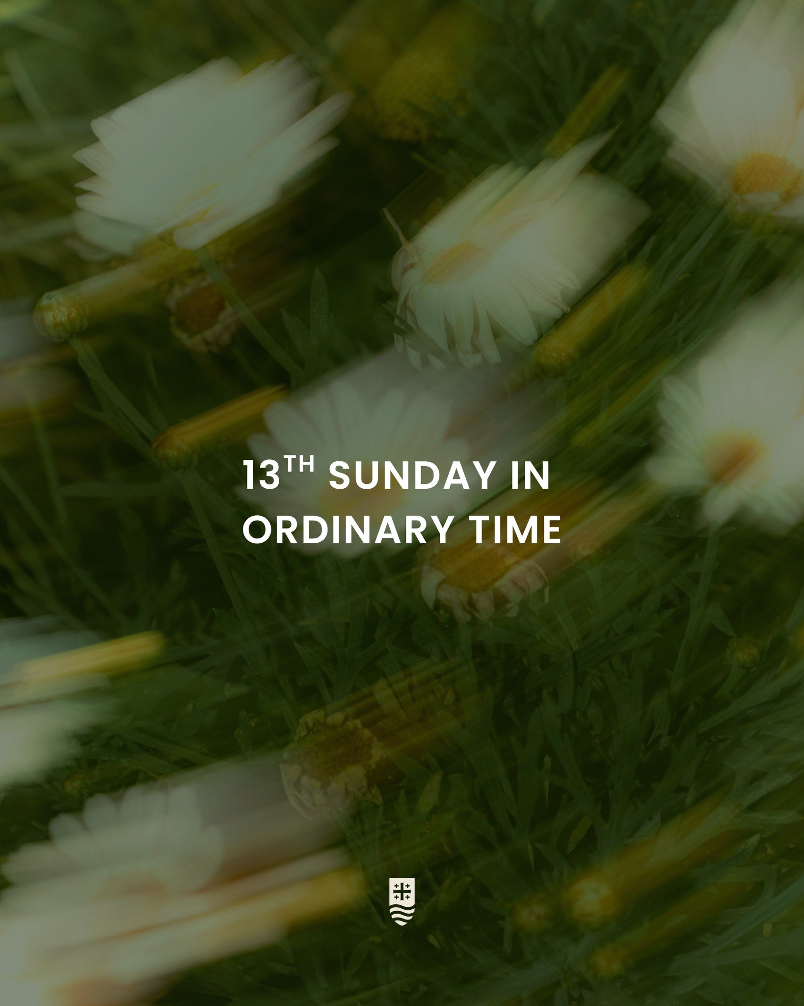 Sundays are the perfect opportunity to dive into God&rsquo;s Word! Use this Sabbath Guide to prepare your heart for Mass, reflect on the message on your way home, and revisit it in prayer throughout the week.

We are a three part homily series this w